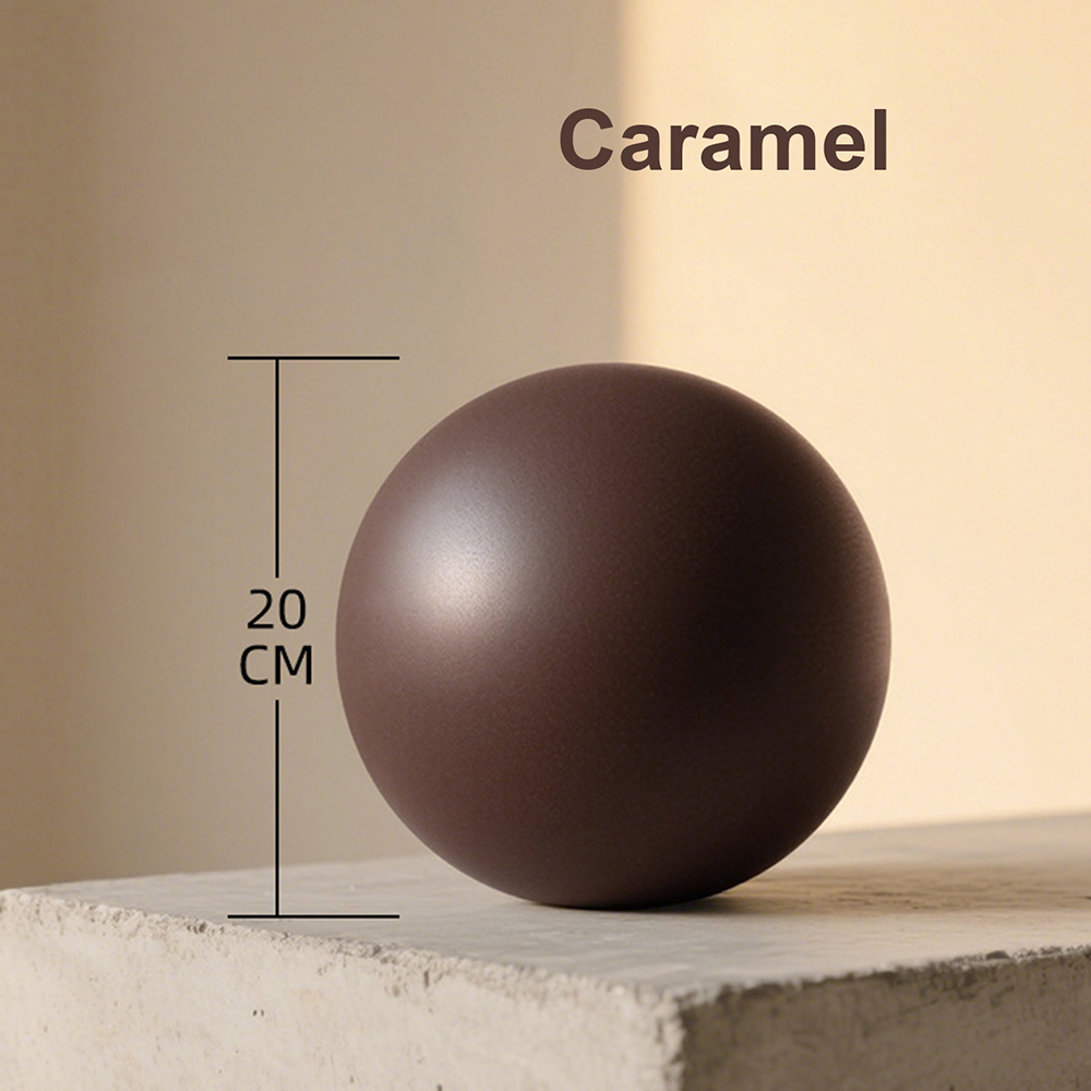 20cm Matte Exercise Ball Barre - Pilates Yoga Ball Workout review and price