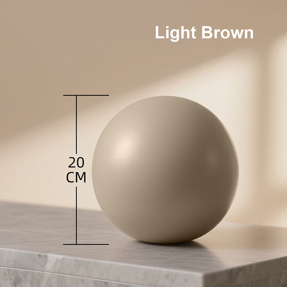 20cm Matte Exercise Ball Barre - Pilates Yoga Ball Workout review and price